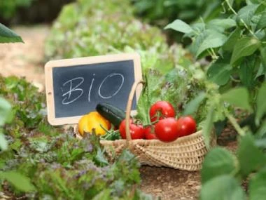 Βιολογικές Καλλιέργειες: Αιτήσεις επιχορήγησης 2019